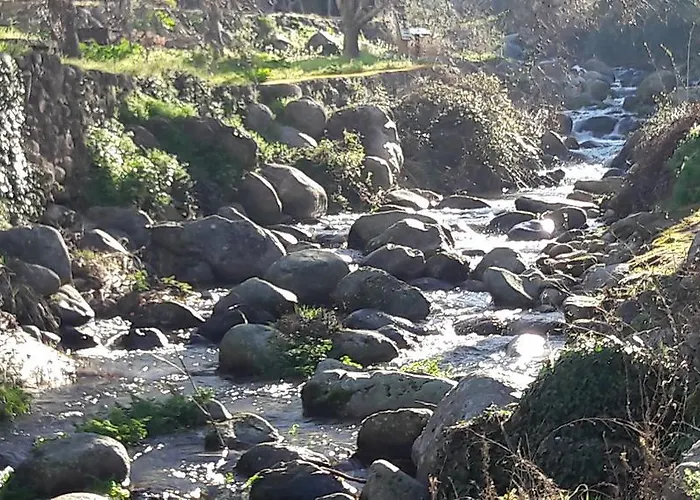 Alejandra Gargantilla